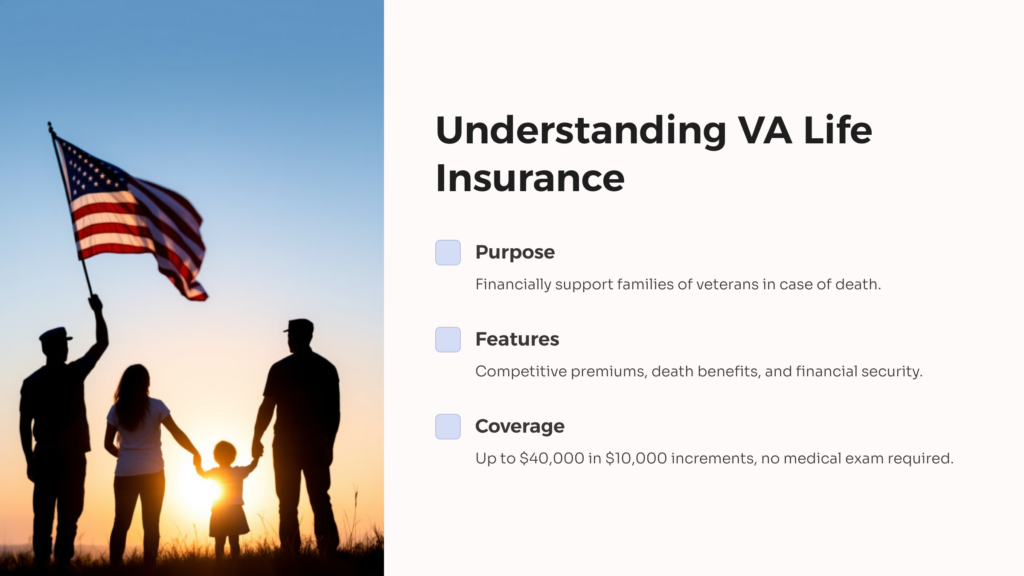 VA Life Insurance infographic