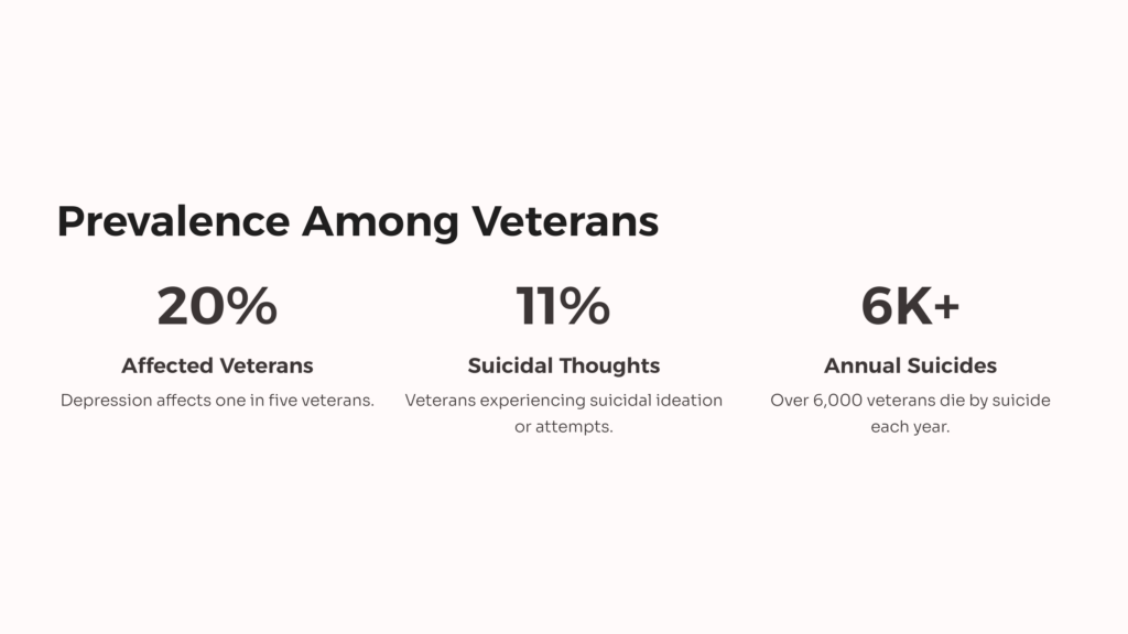 Depression Among Veterans infographic