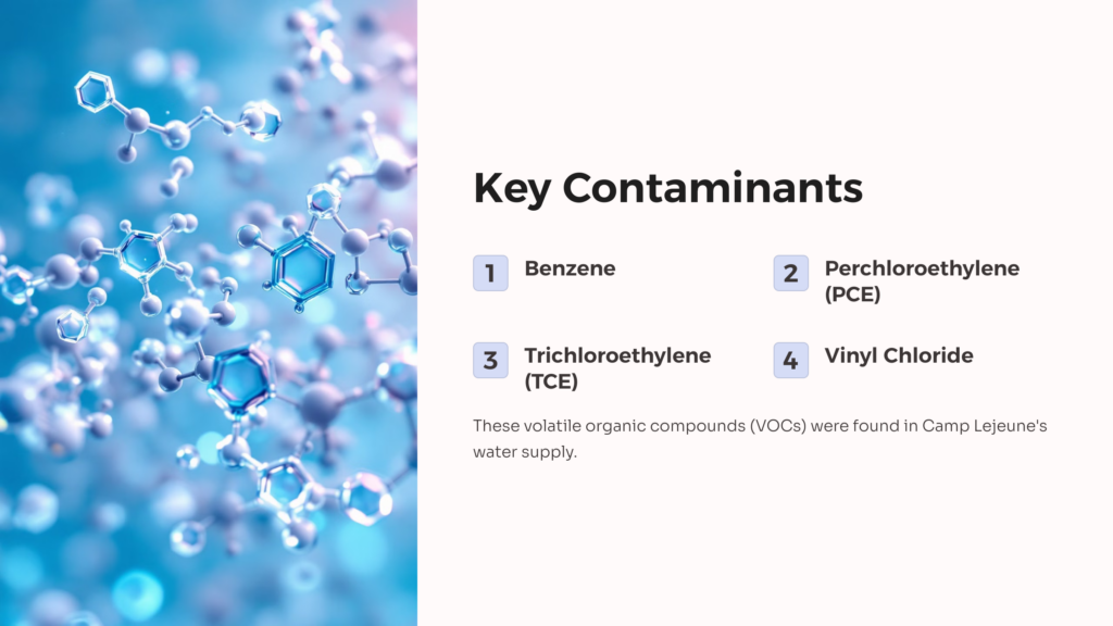 Camp Lejeune Water Contaminants infographic