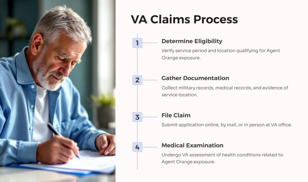 Agent Orange VA Claim Process infographic