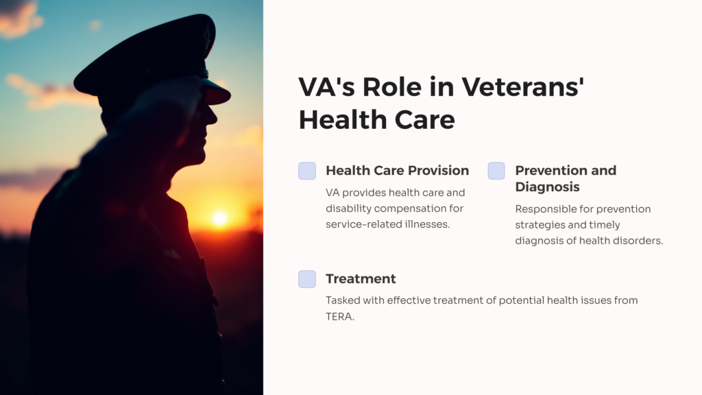 VA Role in Veterans' Health Care infographic