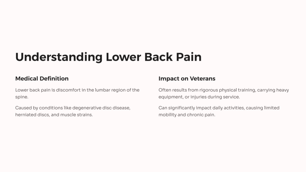 Understanding Lower Back Pain infographic