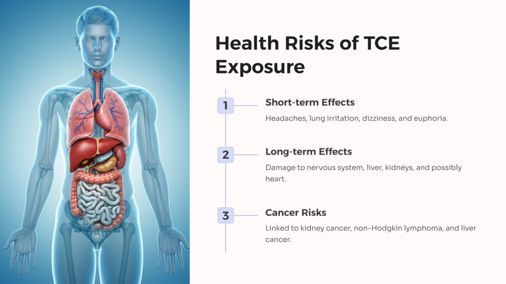 Trichloroethylene Exposure Health Risks infographic