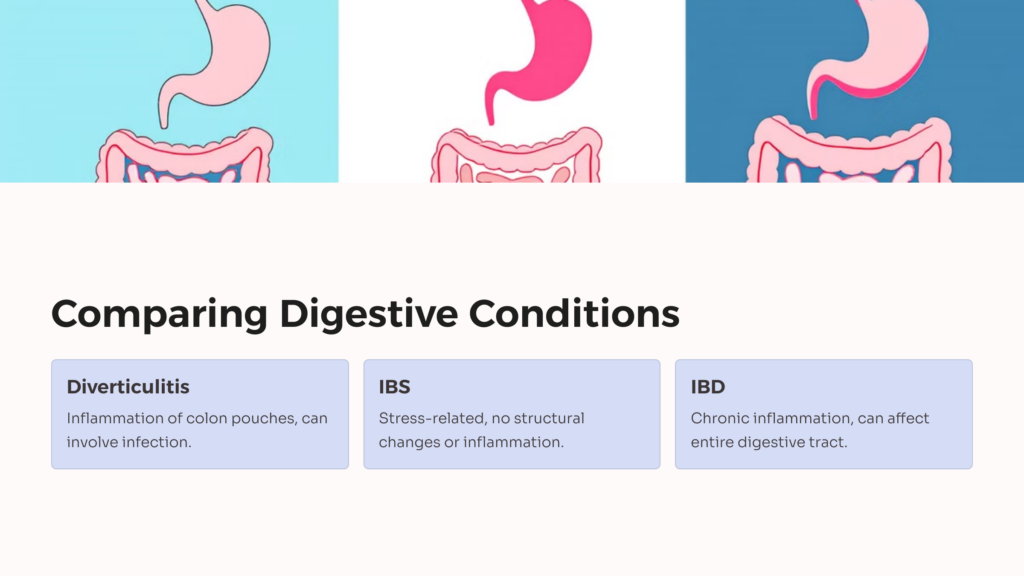 Digestive Conditions infographic