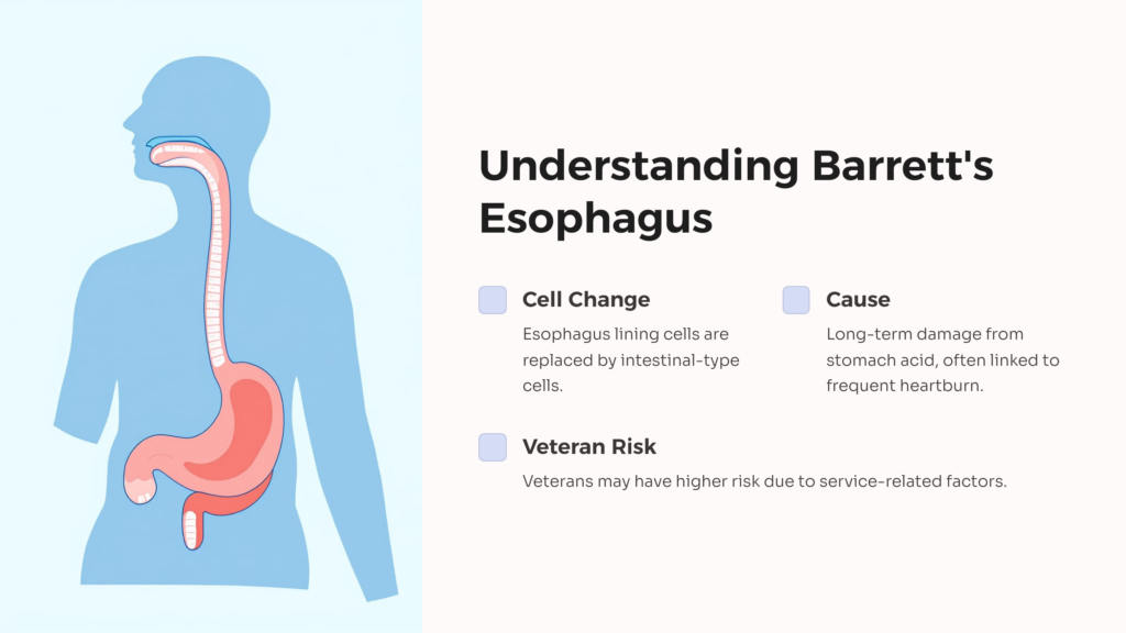 Barrett's Esophagus infographic