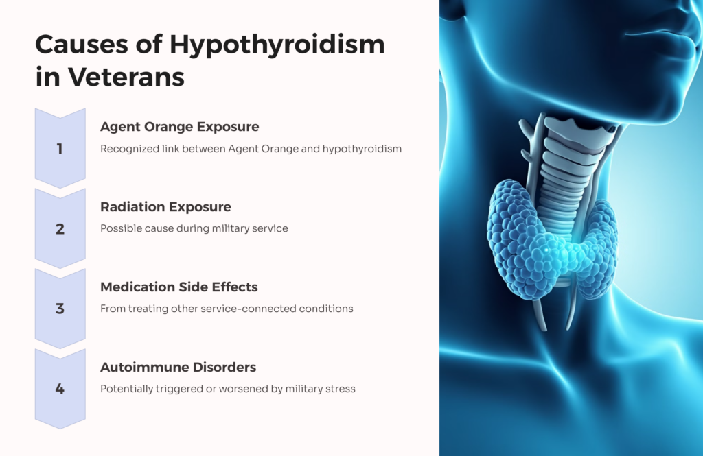 Causes of Hypothyroidism in Veterans infographic