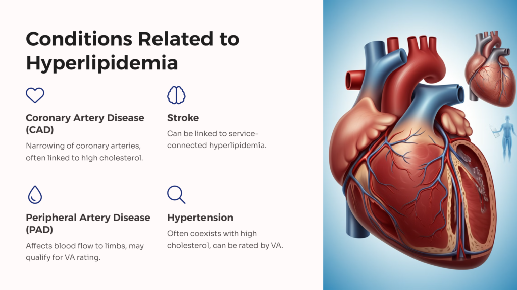 Hyperlipidemia Related Conditions infographic