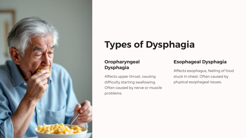 Types of Dysphagia infographic