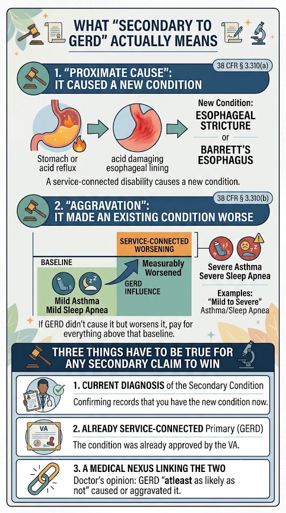 GERD Secondary Claims infographic